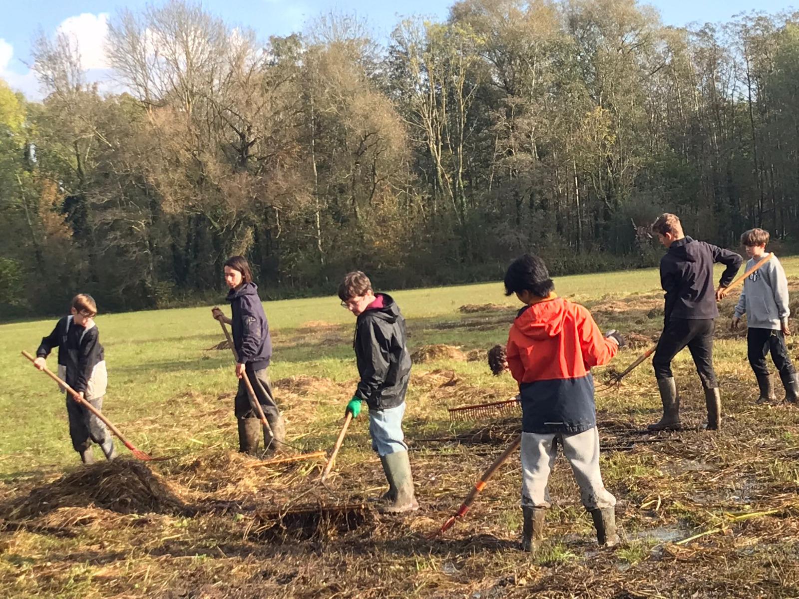 Afbeelding 57 van natuurpunt