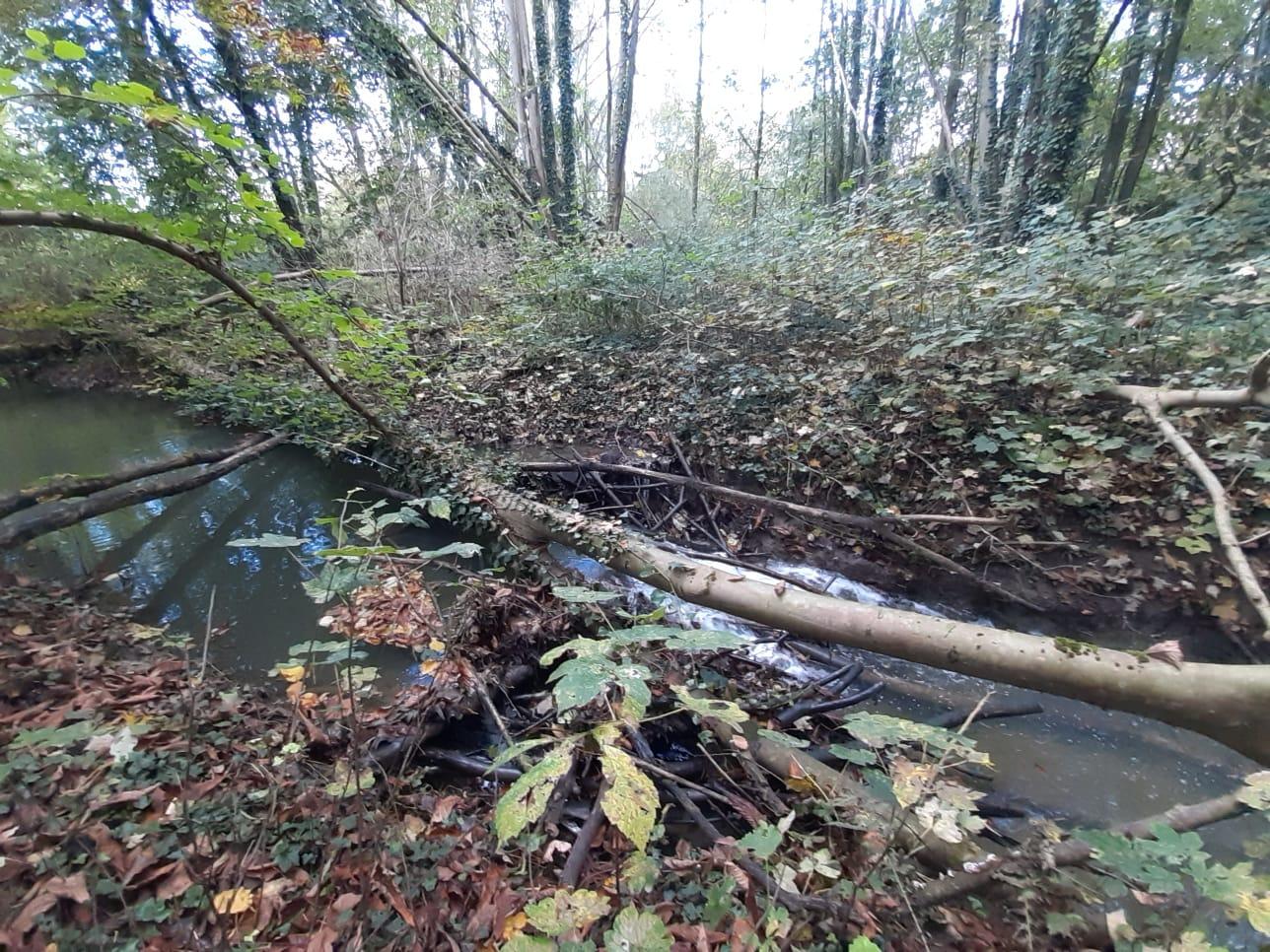 Afbeelding 6 van natuurpunt