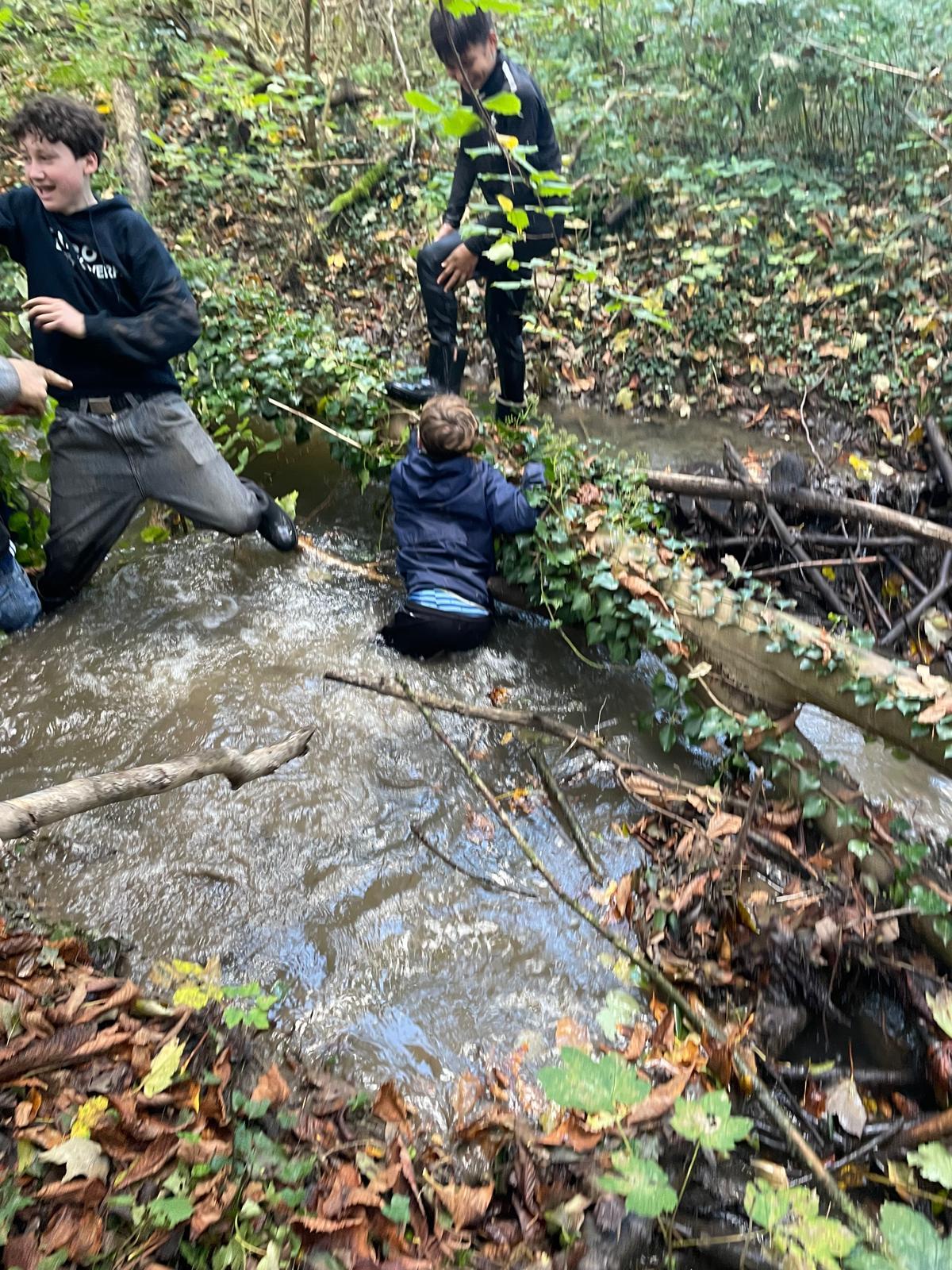 Afbeelding 73 van natuurpunt