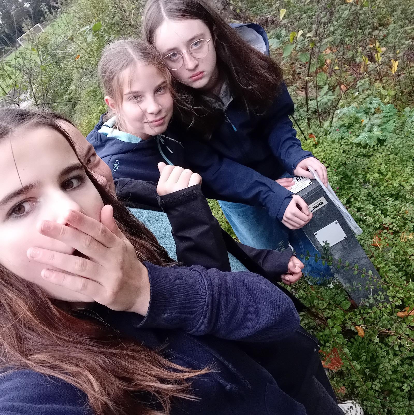 Afbeelding 89 van provinciaal domein