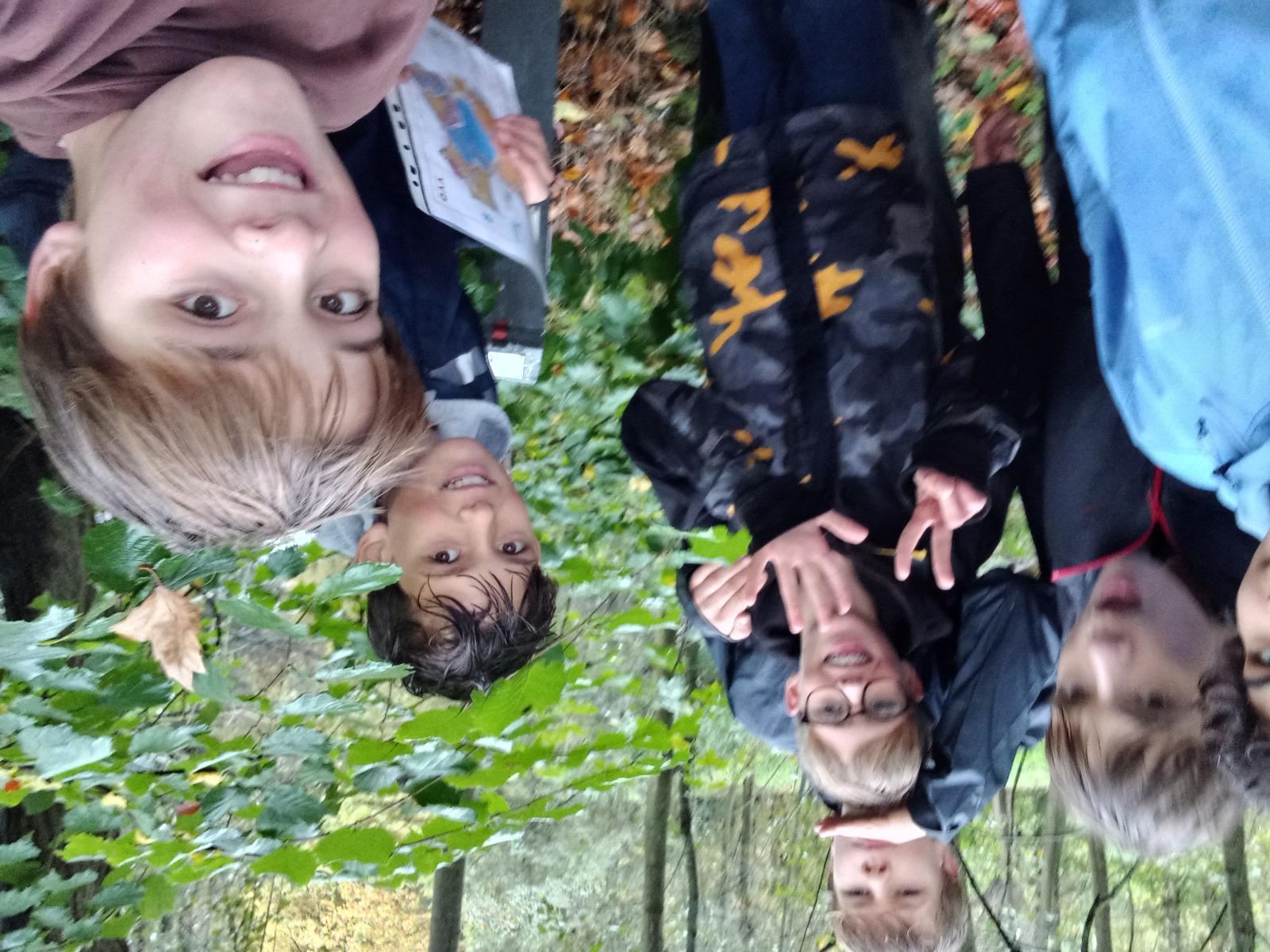 Afbeelding 99 van provinciaal domein