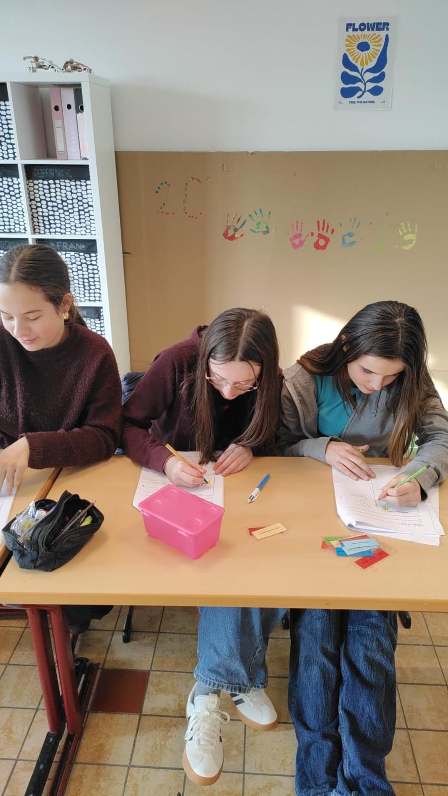 Afbeelding 11 van Sociale dag