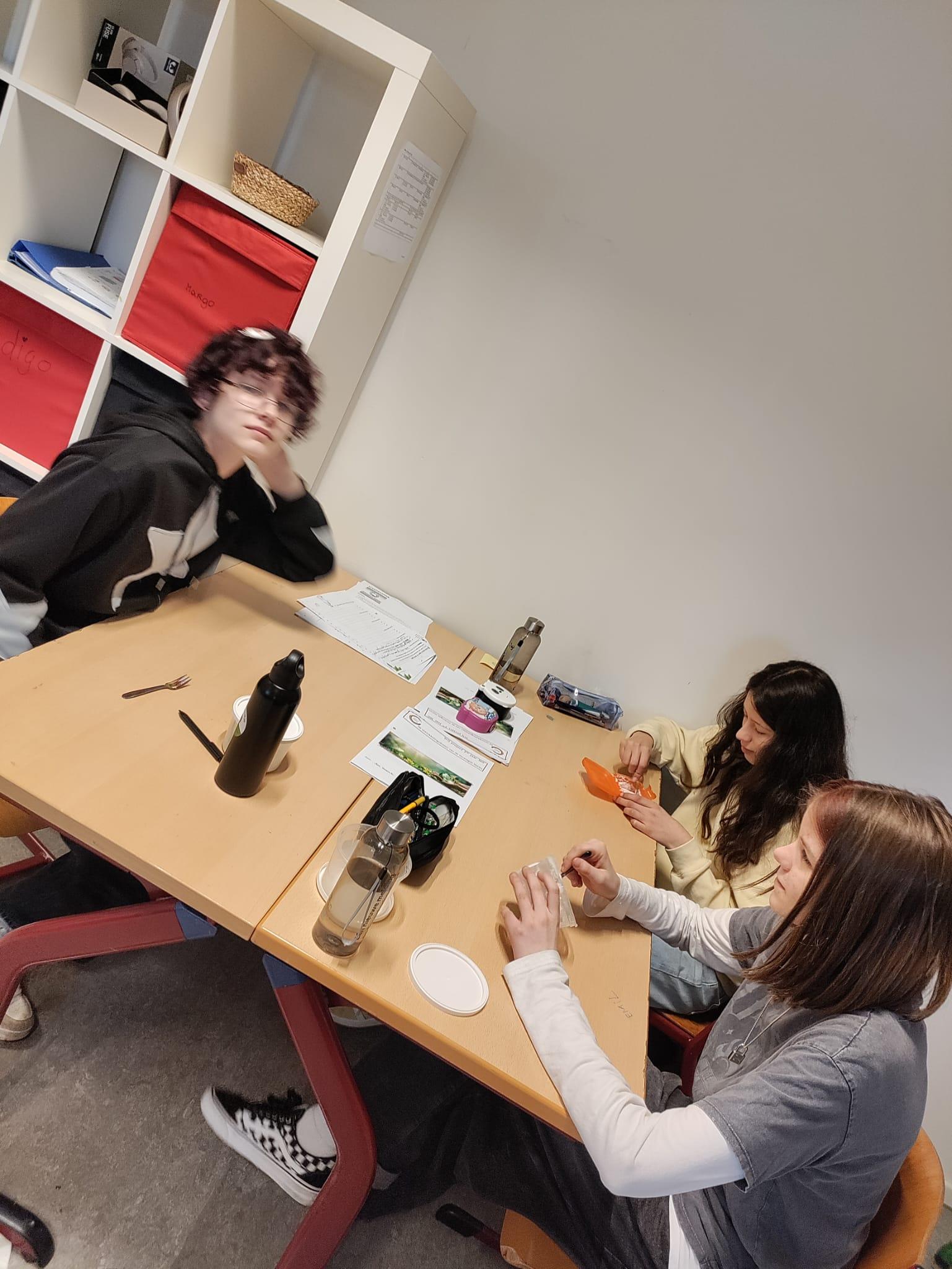 Afbeelding 17 van workshops