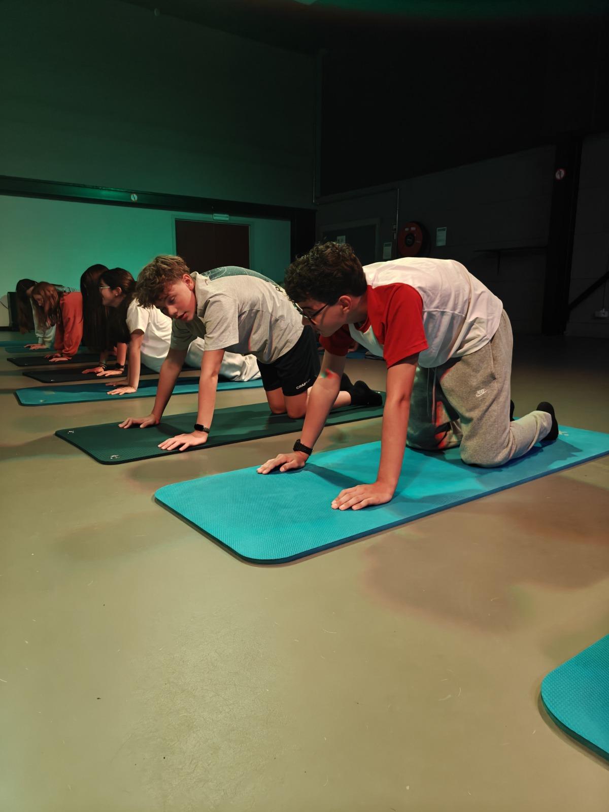 Afbeelding 7 van pilates