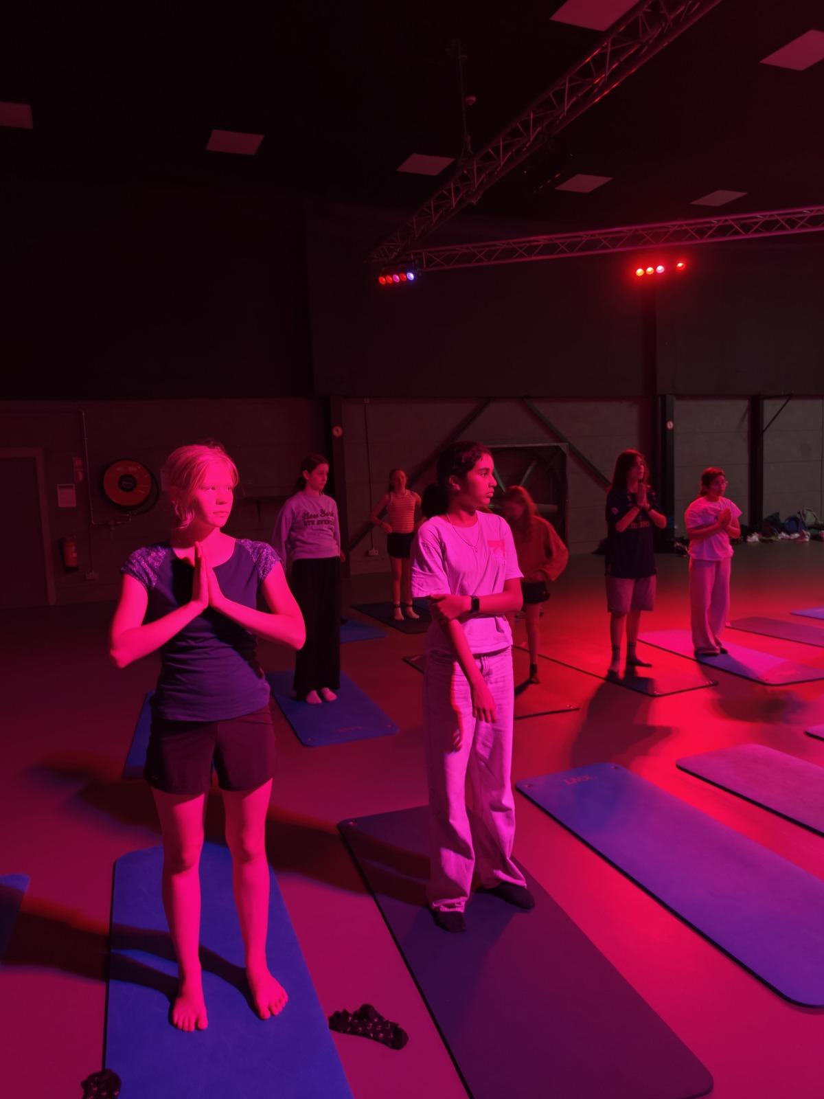 Afbeelding 9 van pilates