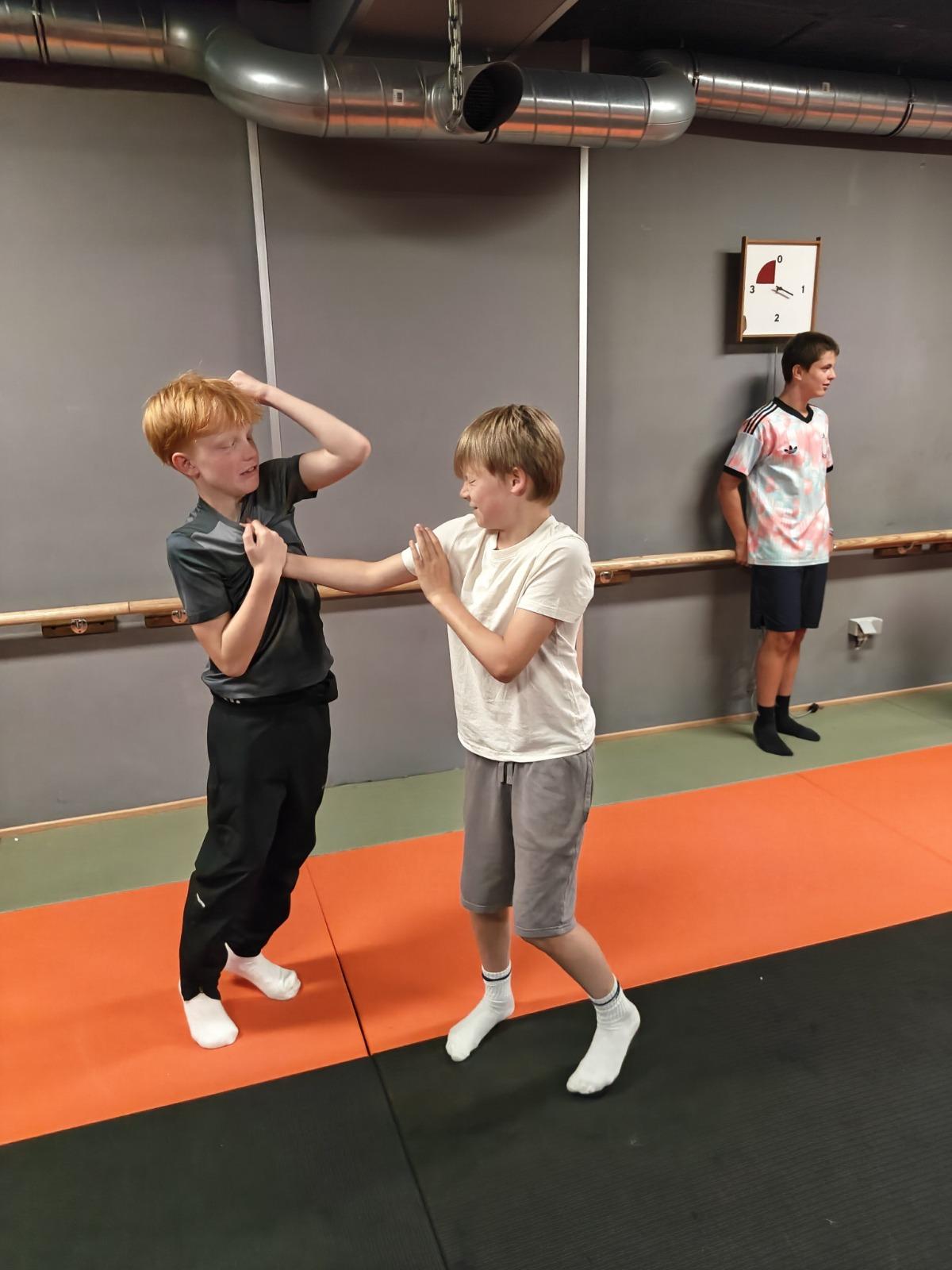 Afbeelding 32 van verdediging